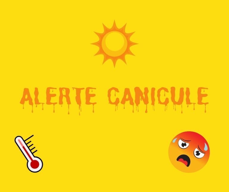 Alerte canicule